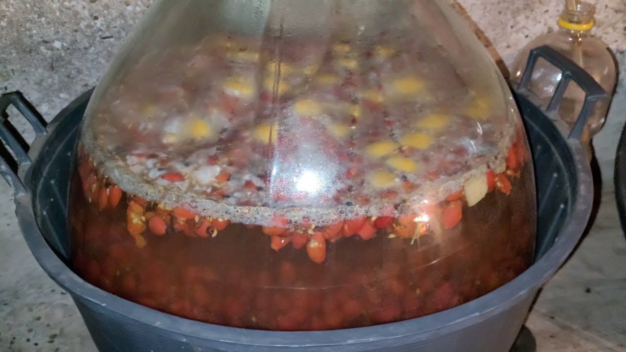 Vinul de măceșe nu FERMENTEAZA, posibile cauze, SOLUȚIA