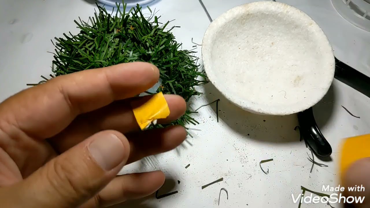 Bird Nest DIY