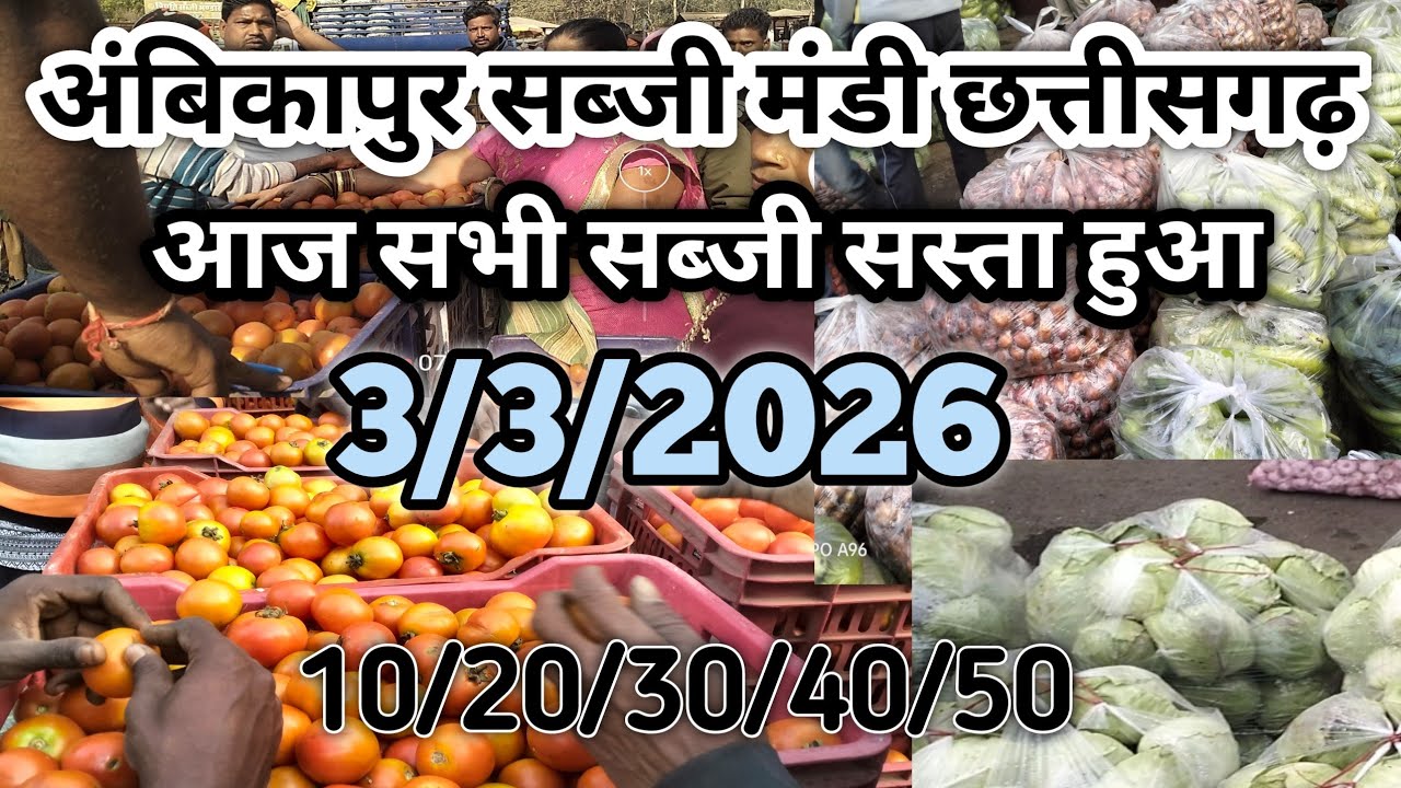 अंबिकापुर सब्जी मंडी | आज हरि ताजी सब्जिया हुआ सस्ता | 3/3/2026 | Ambikapur sabji mandi |#ambikapur
