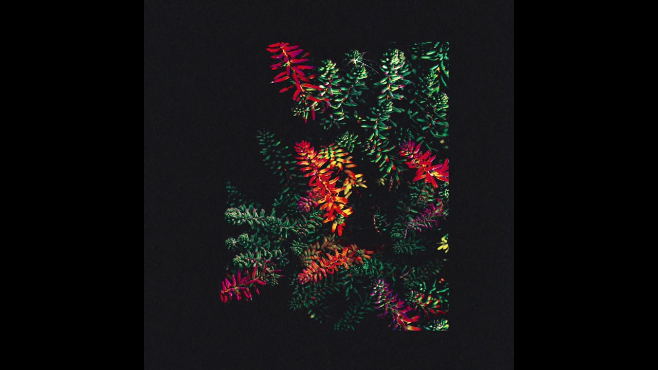 Dark Sky - Field Tower (MTRO74)