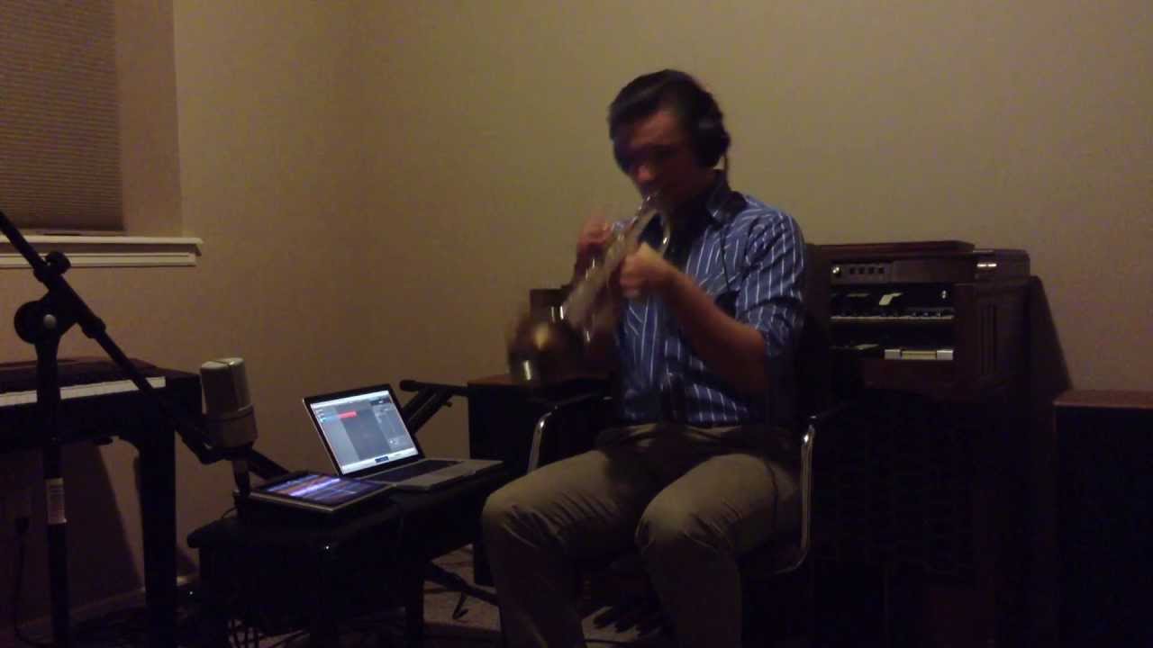 Daft Punk - Doin' It Right (Trumpet Live-Looping Cover)