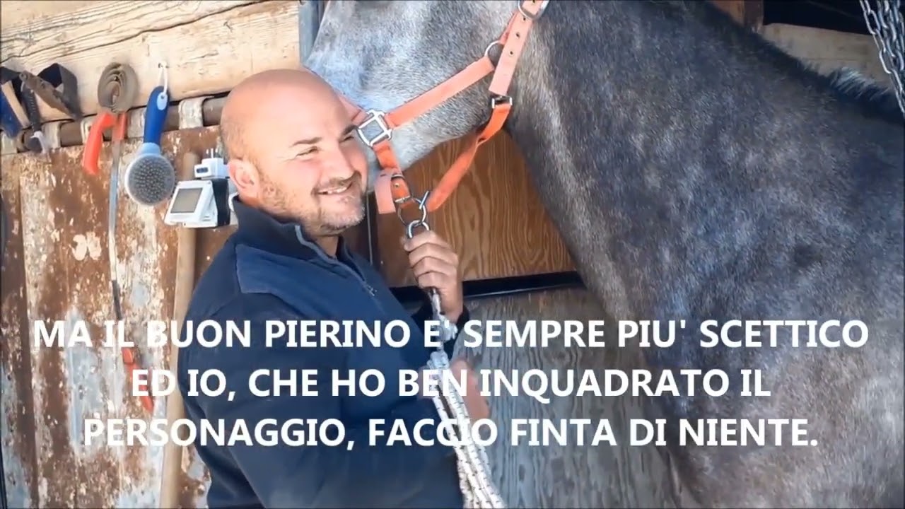 AIASE - FARUK E LO SCETTICO