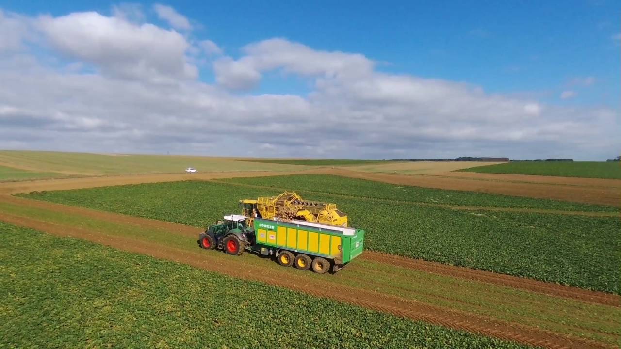 Ropa Tiger 5 / Fendt 824 / Joskin Drakkar : Arrachage betteraves 2016