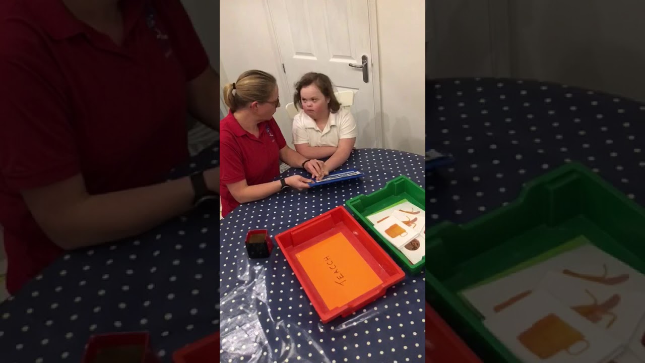 TEACCH - example of TEACCH Tray activity