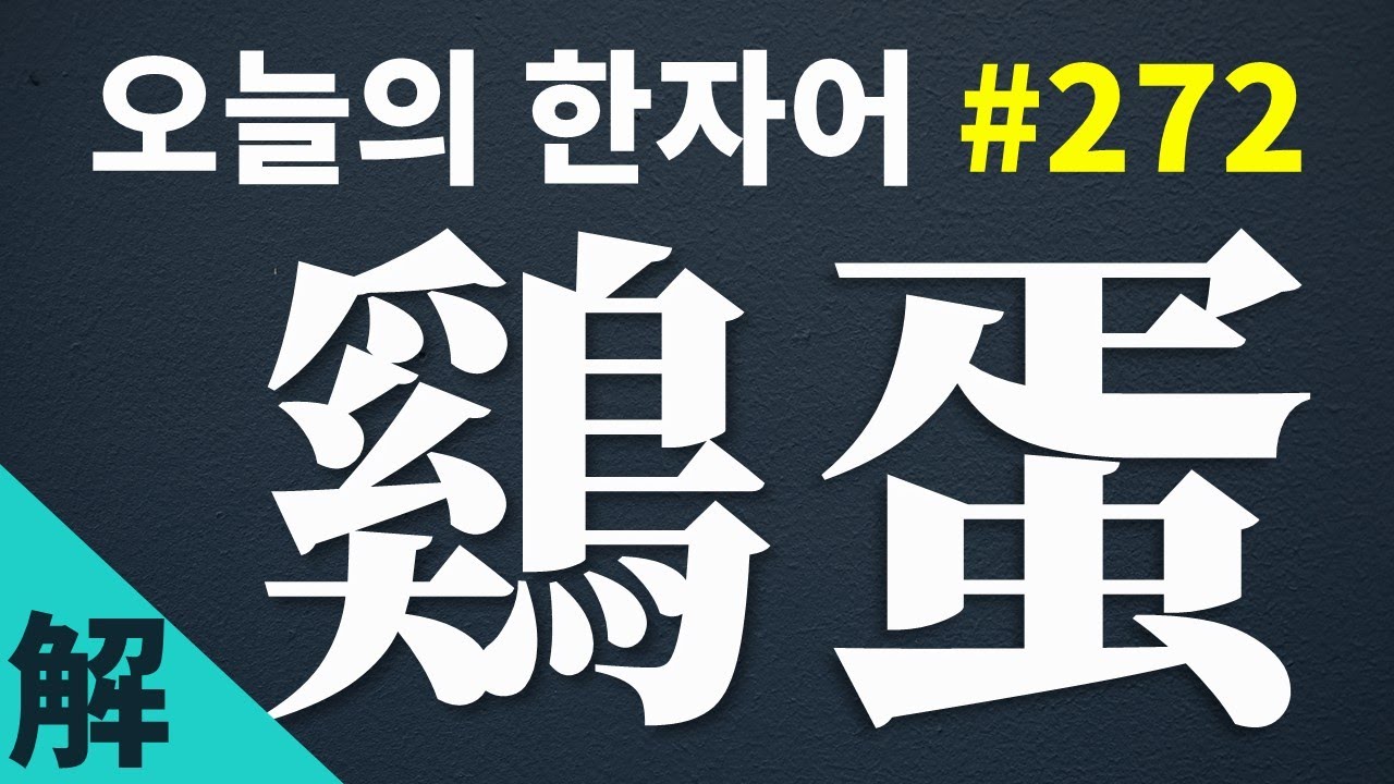 [해설본] 鷄蛋 : 오늘의 한자어 #272