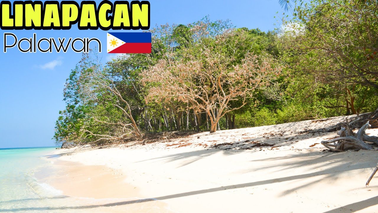 The Most Beautiful Tropical Island Paradise // Linapacan, Palawan 🇵🇭 #AmazingLinapacanTV #Linapacan