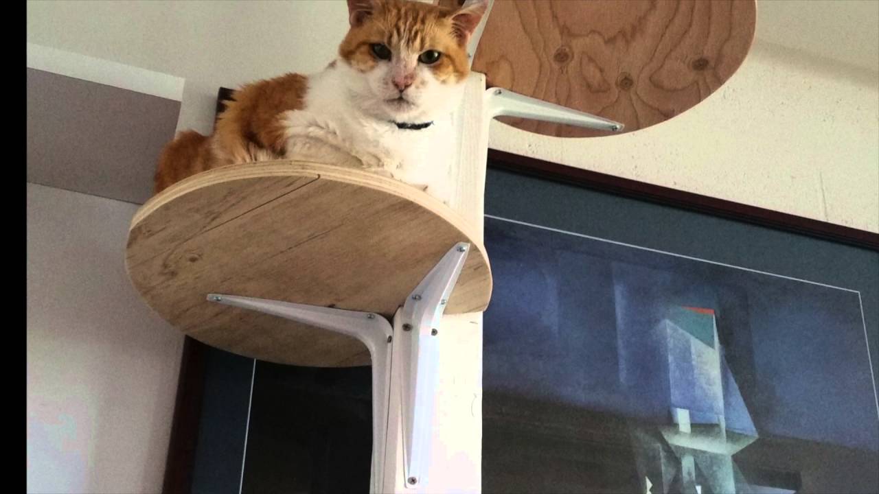Catify My Home - walkways without drilling into walls
