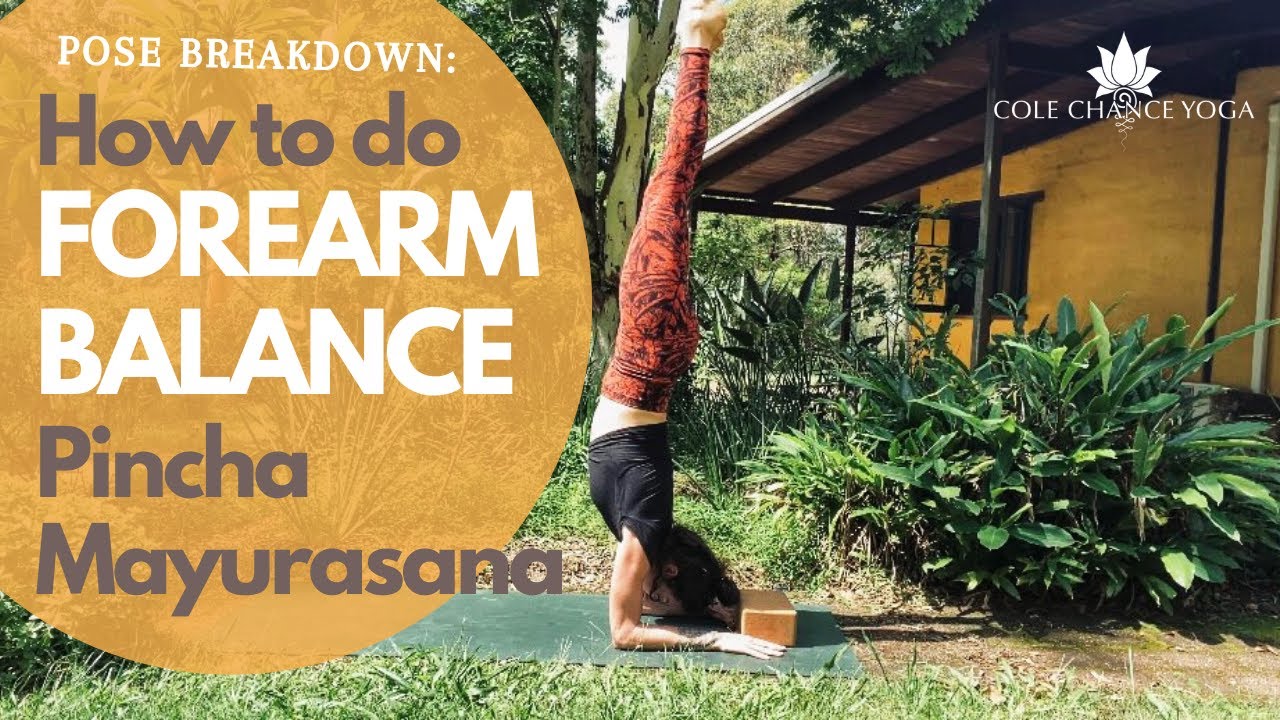 How to do Forearm Balance - Pincha Mayurasana with Cole Chance
