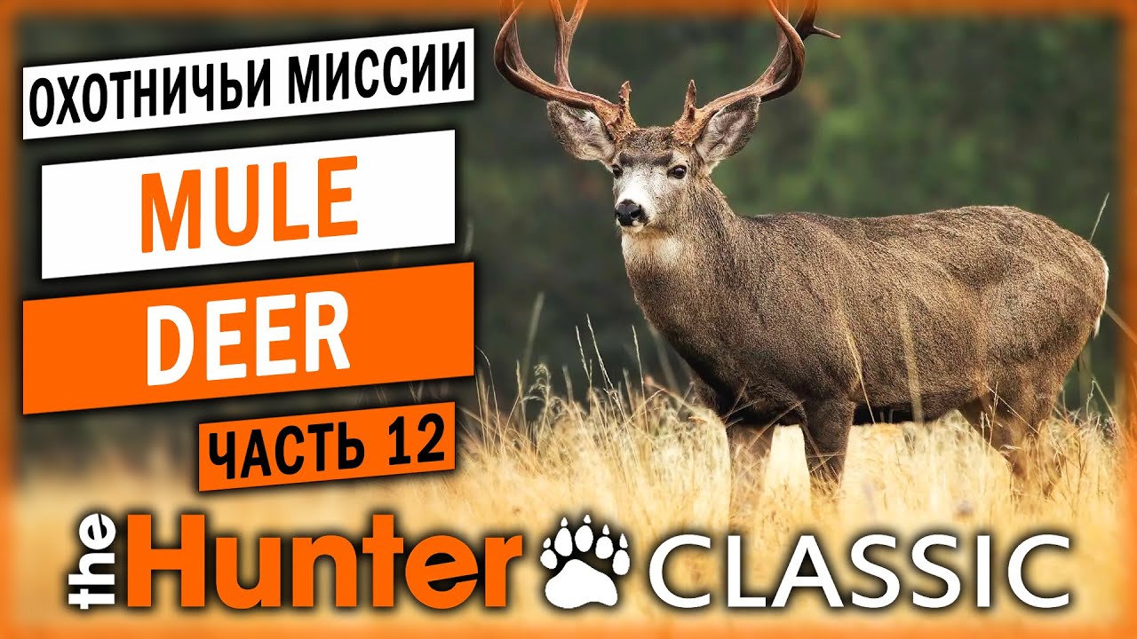 ОХОТА НА ЧЕРНОХВОСТОГО ОЛЕНЯ! | Охотничьи Миссии | theHunter Classic 🐻 | (часть 12)