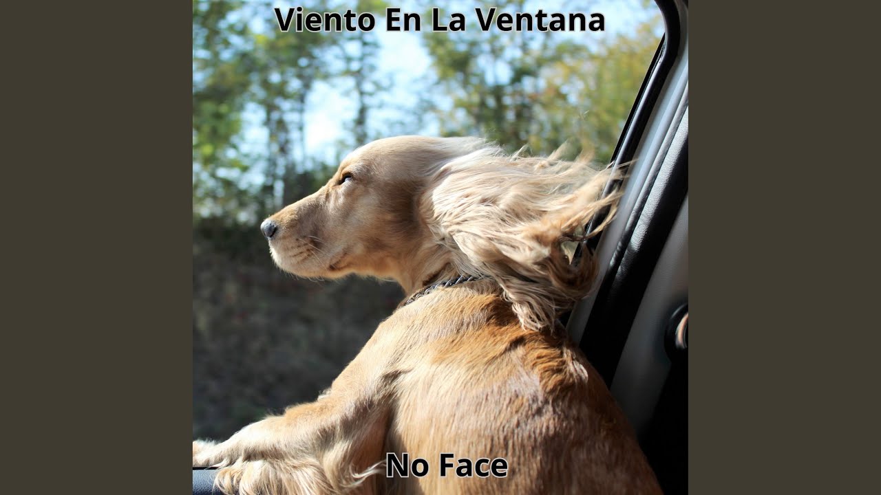 Bajo la Lluvia