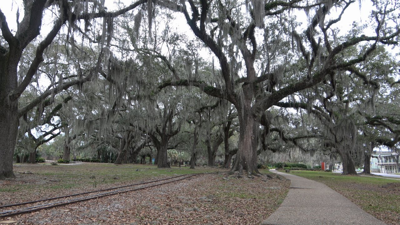An Easy Day On City Park Ave, New Orleans| Piano Background Music| Ease Therapy #NOLA #NewOrleans