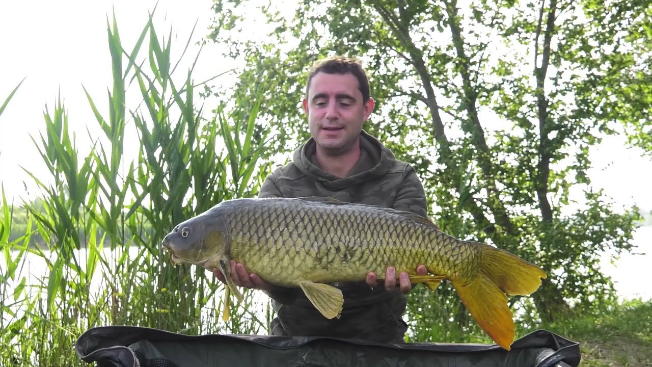 Carpfishing ad Ostellato (Decathlon Caperlan)