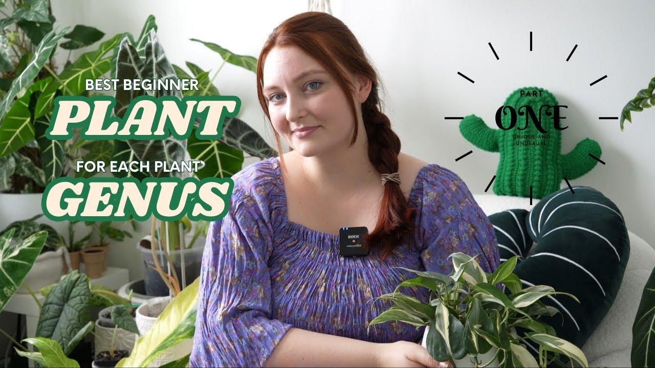 best beginner plant for each genus part 1