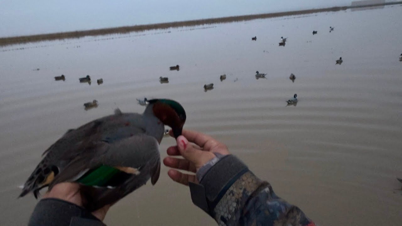 1 man limit in 45 minutes! Ended with a Scotch Triple
