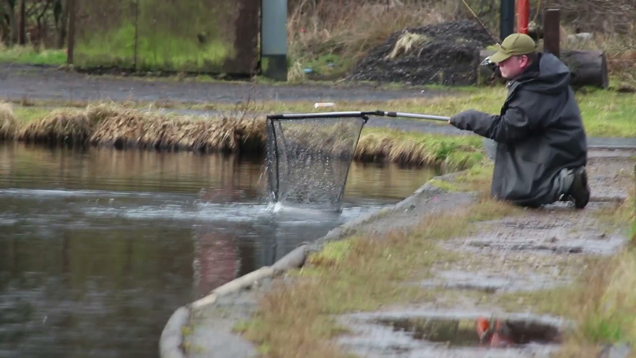 Carbeth Trout Fishery