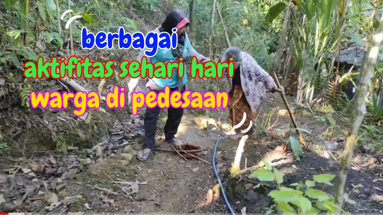 berbagai aktifitas warga di pedesaan#orangdesa #jelajahalam#desaanterpencil #orangpinggiran