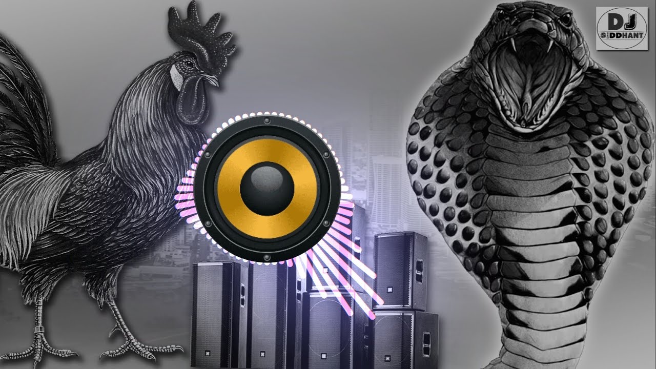 Murga dance | ku ku ku song | murga song dj mix by Nagin dance #murgadance #song #murga Nonstop Dj