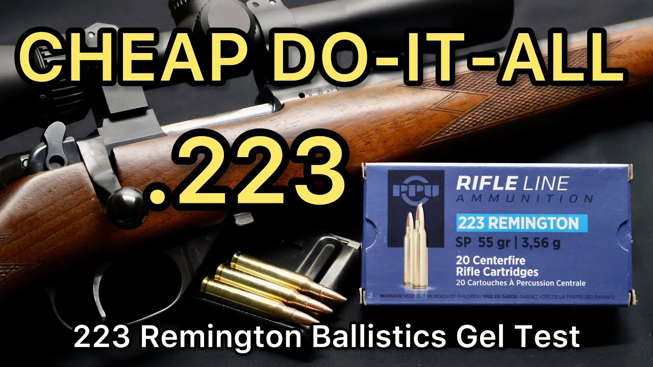 BEST CHEAP .223?! 223 Remington Prvi Partizan PPU 55gr SP Ammo Test
