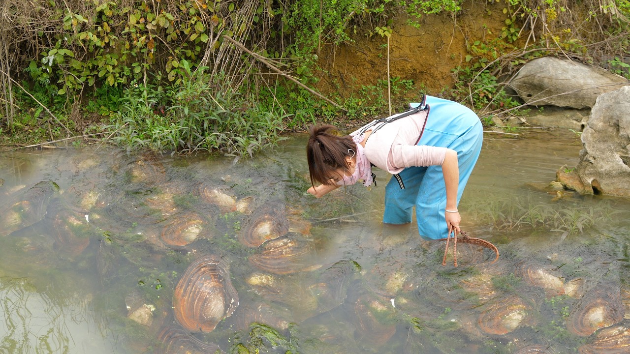 😱 The Clam That Defied Science: Girl’s Find Challenges Everything We Know About Pearls