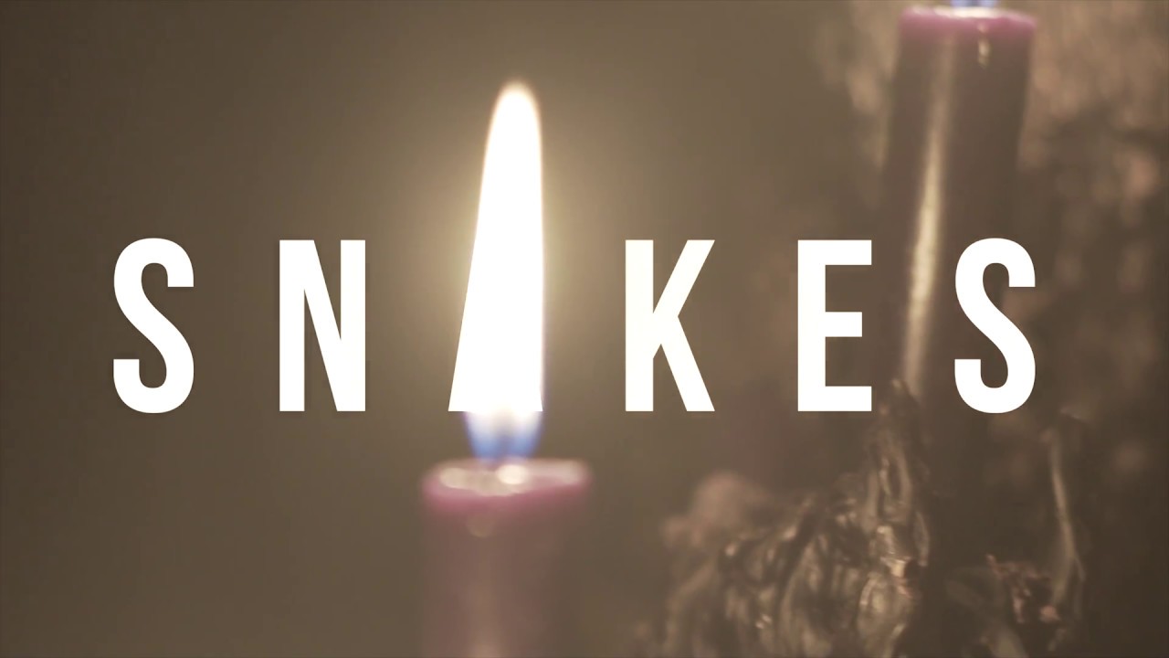 Foreign Musik - Snakes (Official Video)