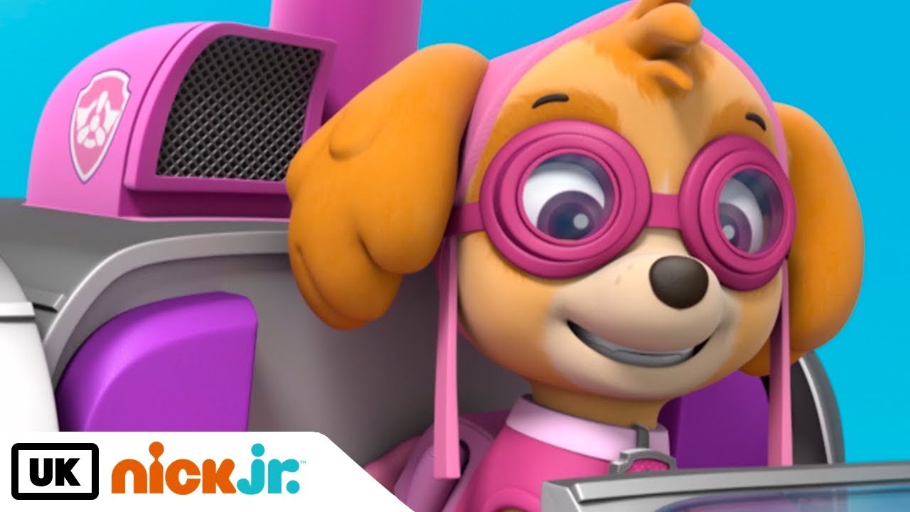 Paw Patrol | Pups Save the Cat Show | Nick Jr. UK