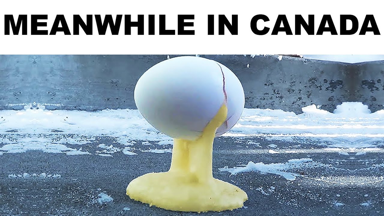 Memes About Canadians