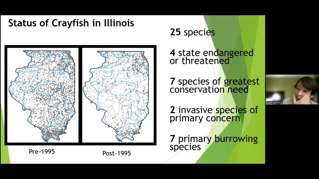 RiverWatch Fall Speaker Series 2024 - From the Ground to the Stream: Crayfishes of the Midwest