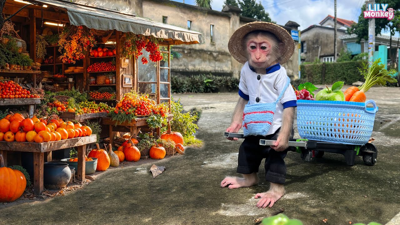 Smart Lily helps dad go to the market to cook lunch