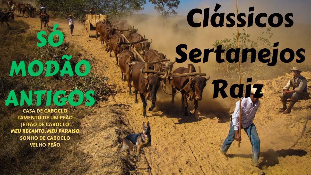 Clássicos Sertanejos Raiz (4)