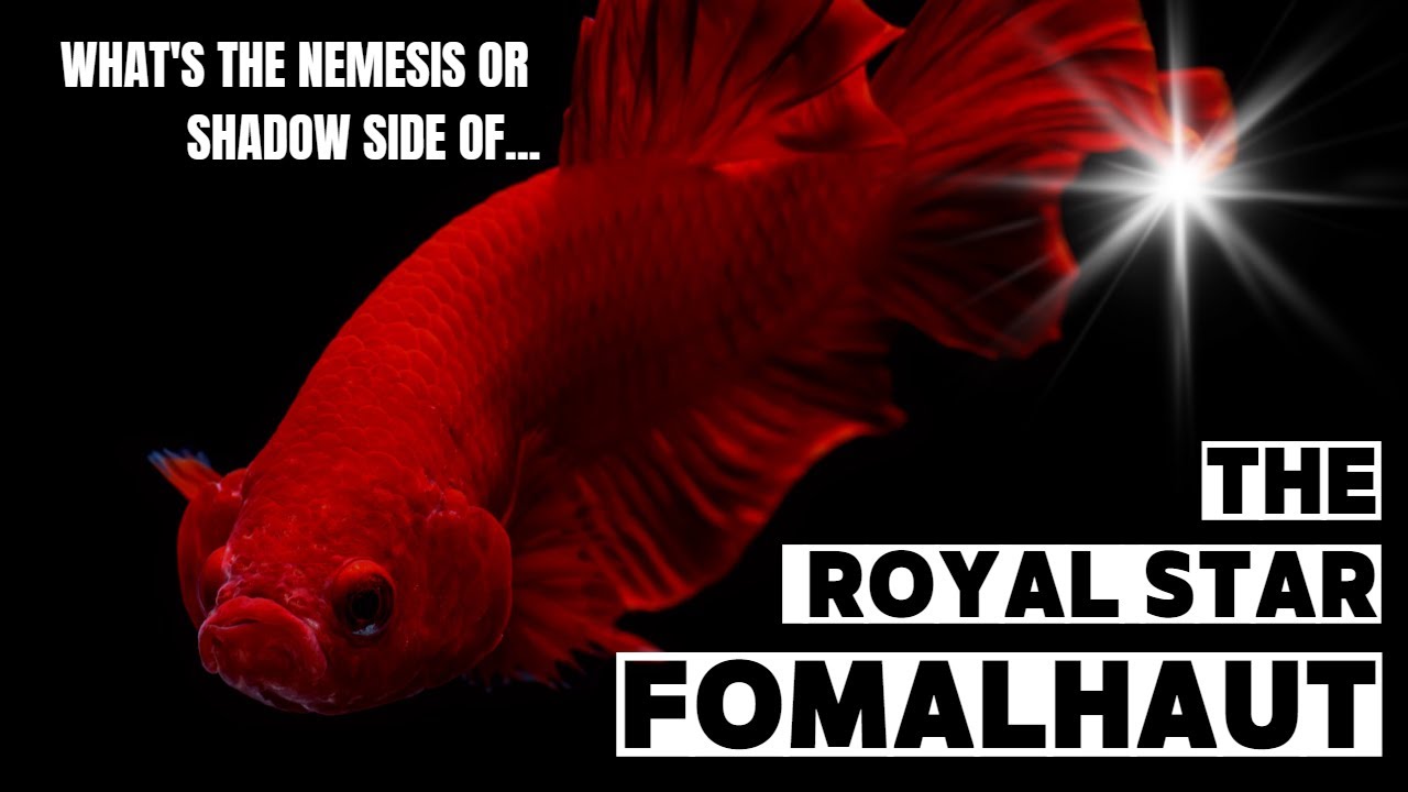 Royal Star Fomalhaut has a Shadow Side? This 
