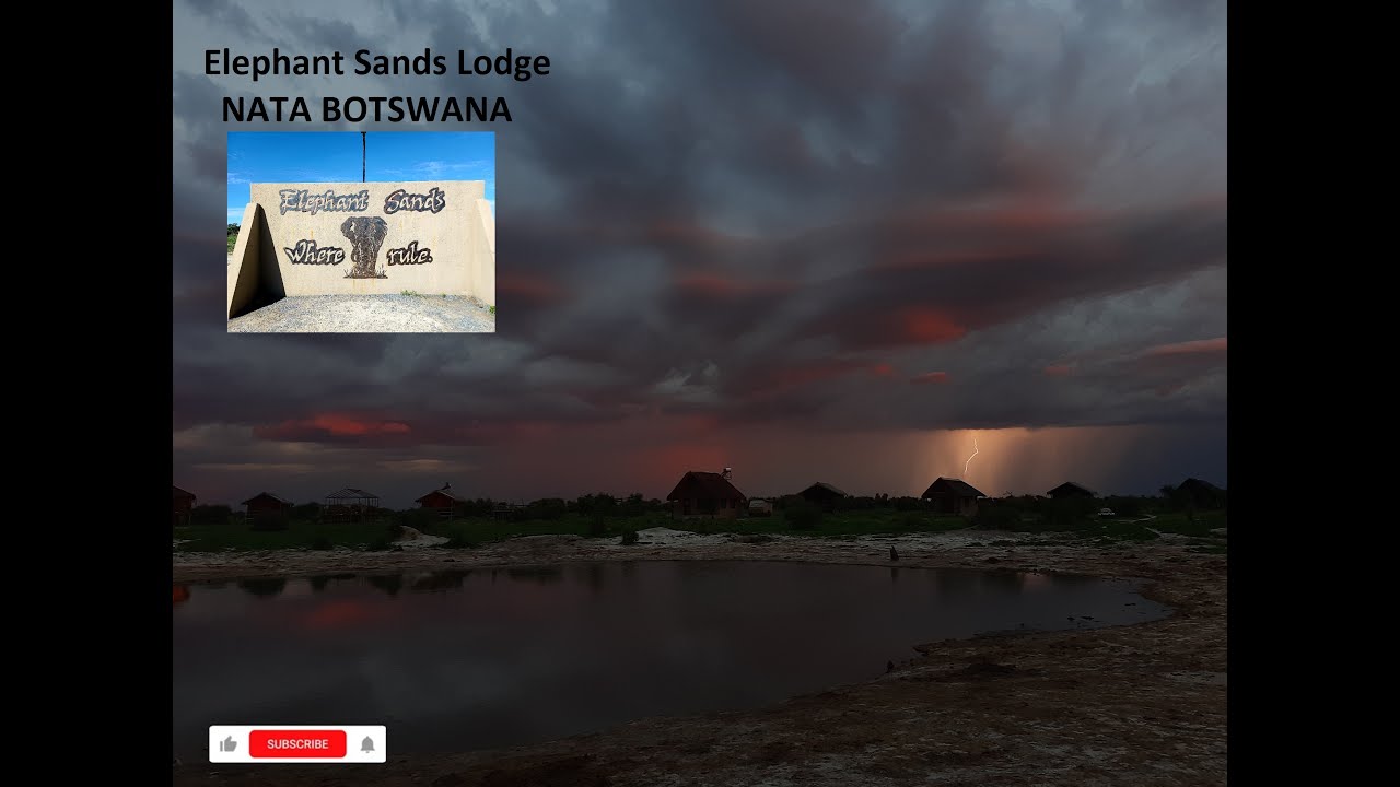 Typical day at Elephant Sands Lodge   Nata Botswana