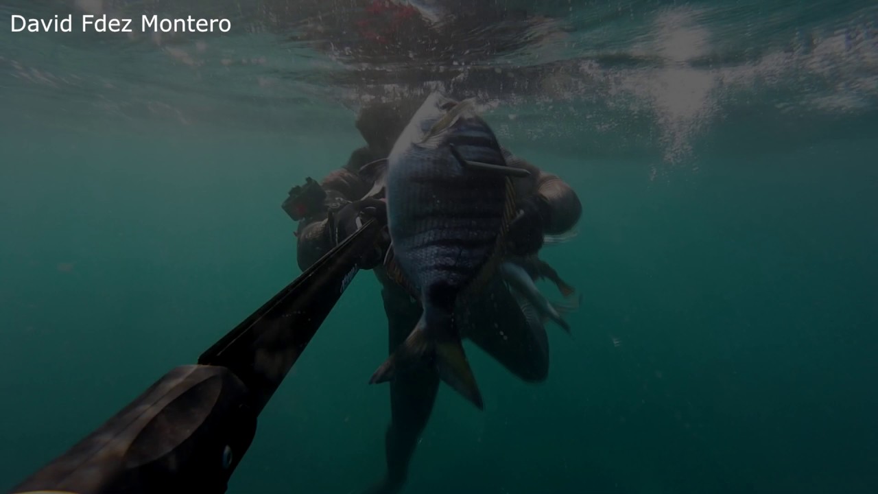 Pesca Submarina Fusil Márlin Evil