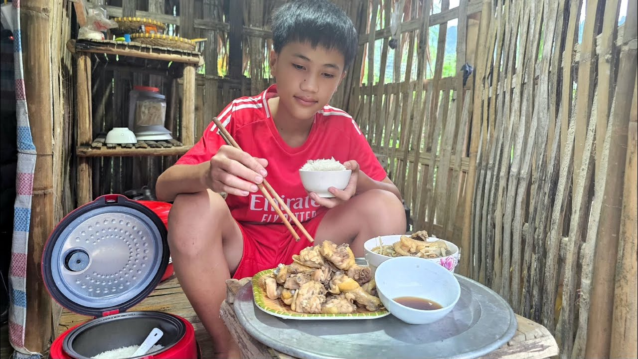 20 days, Nam's picking vegetables and fruits to sell - Buying clothes and cooking delicious meals