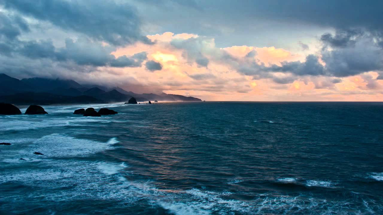 Falcon - Horizons (Original Mix) [Silent Shore White]