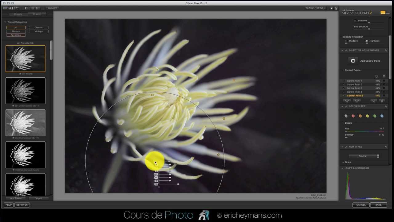Silver Efex Pro2 - Clematite et colorisation sélective
