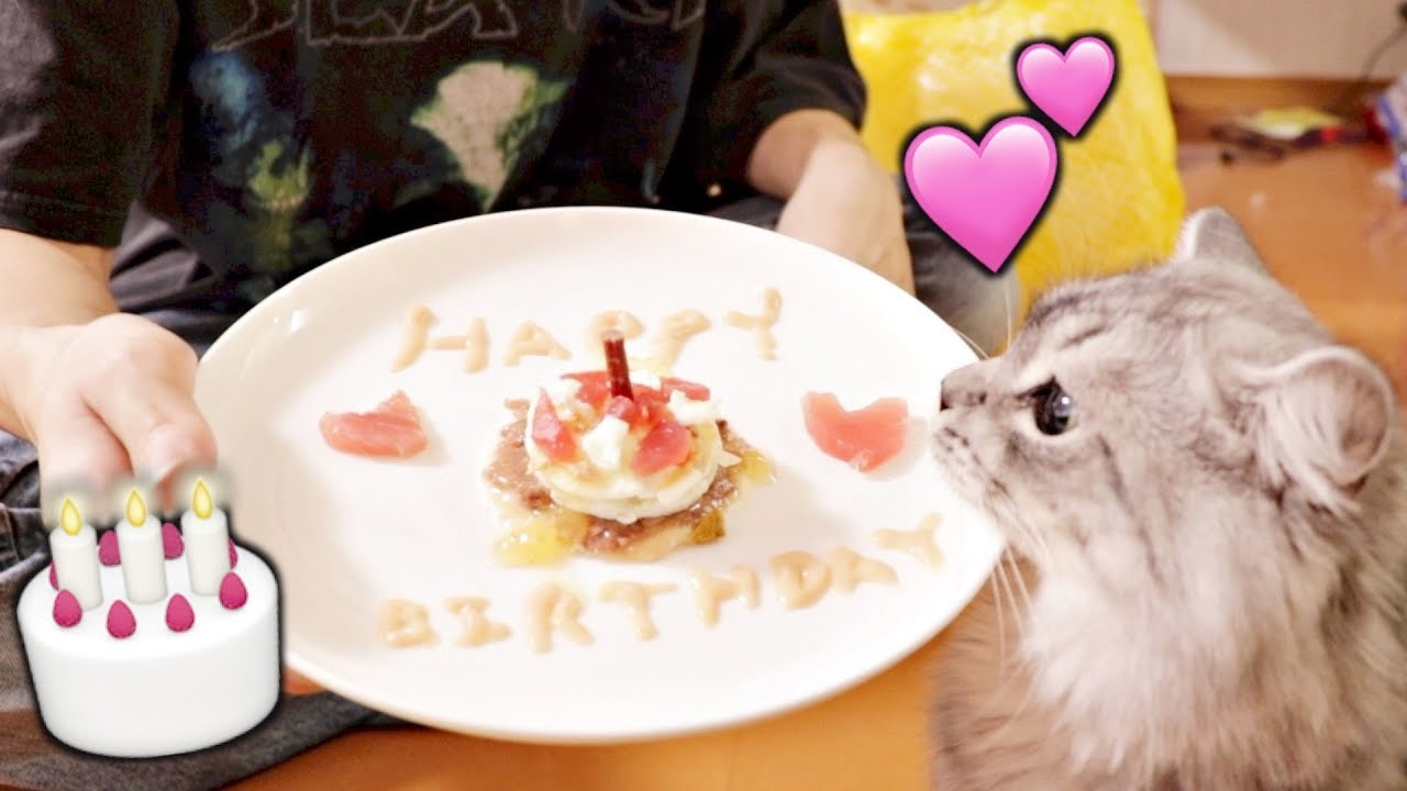 猫に誕生日ケーキを食べさせてみたら大喜び！