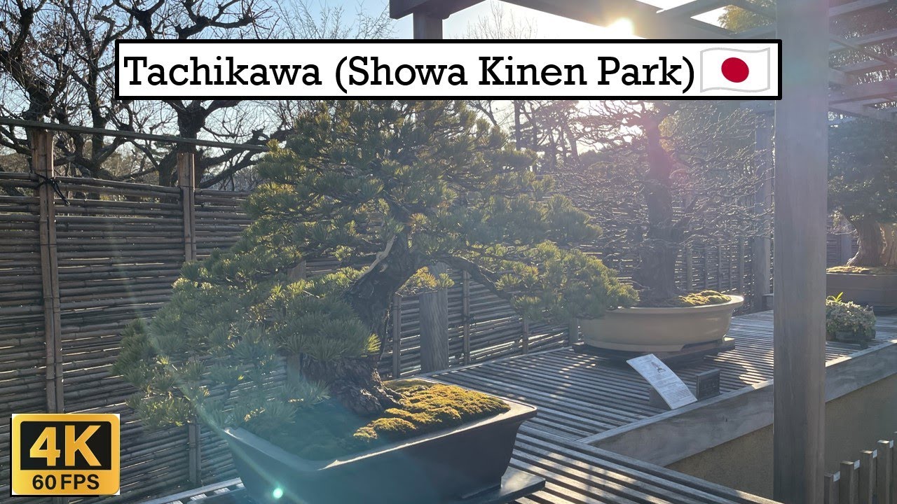 Tachikawa - Showa Kinen Park | 4K 60 fps in Japan