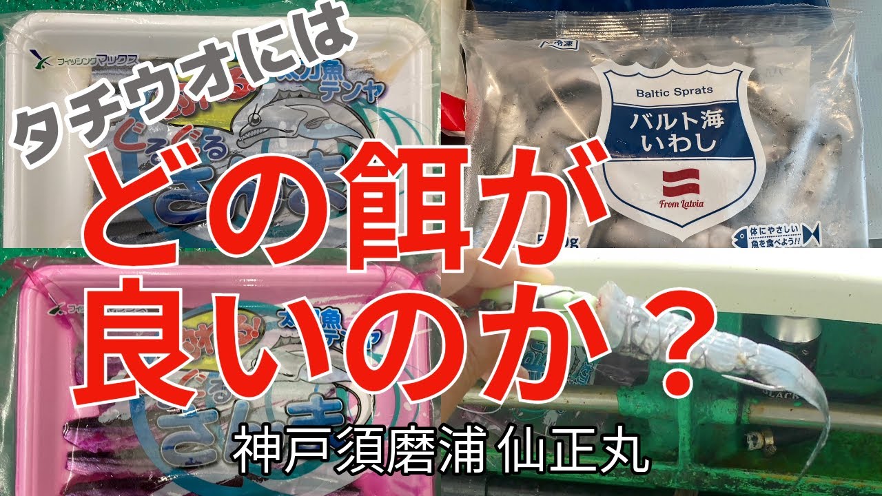 【タチウオ餌の検証】タチウオテンヤの餌って、結局何が良いの？ - 2023/09/19 / 珍しい魚を釣ってしまいました / 神戸須磨浦 - 仙正丸
