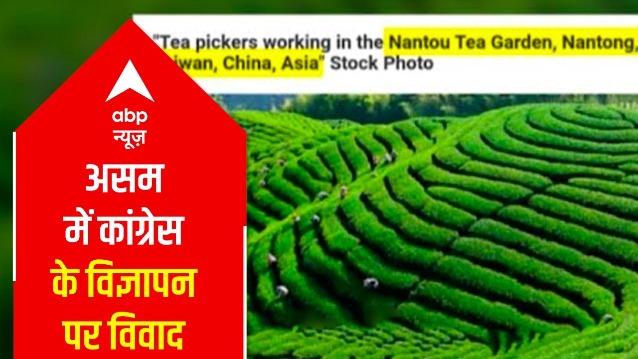 Assam Polls: Controversy over Cong tea garden advertisement, Biswa Sarma says, this is Taiwan's pic