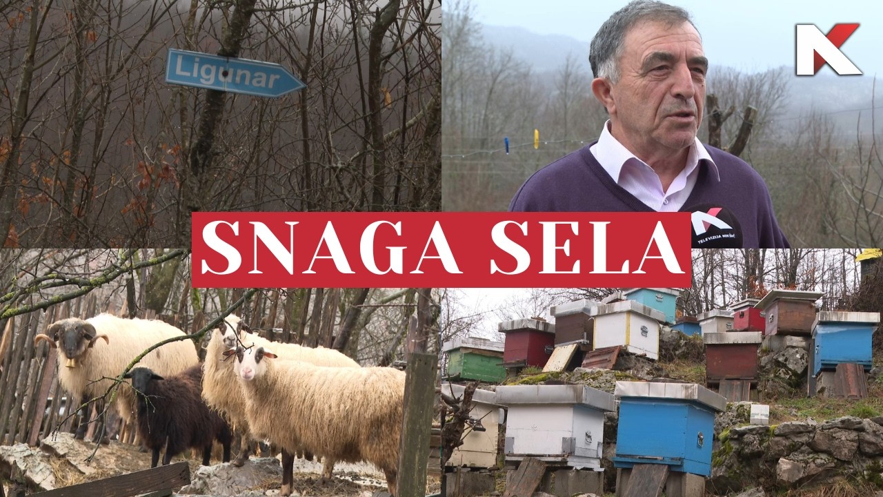 SNAGA SELA 08. 02. 2026.