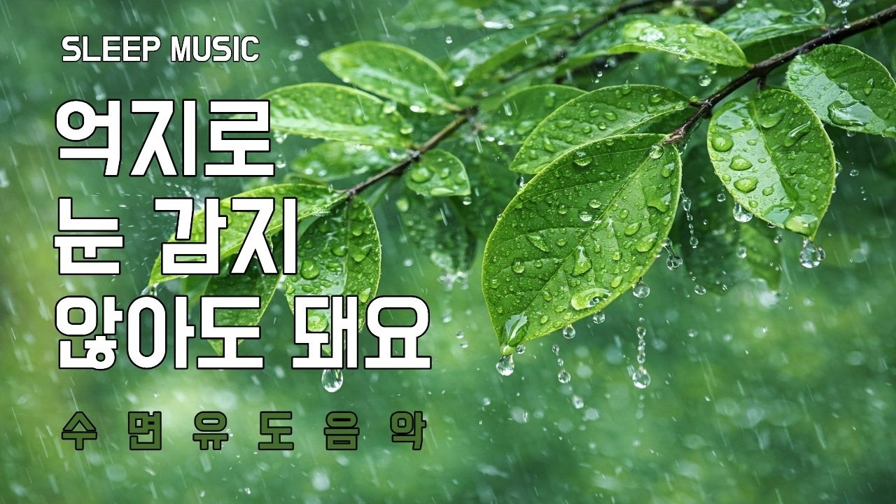 억지로 눈 감지 않아도 되는 밤｜수면 음악｜피아노·새소리·빗소리 ASMR｜잠 잘 때 듣는 음악 1시간