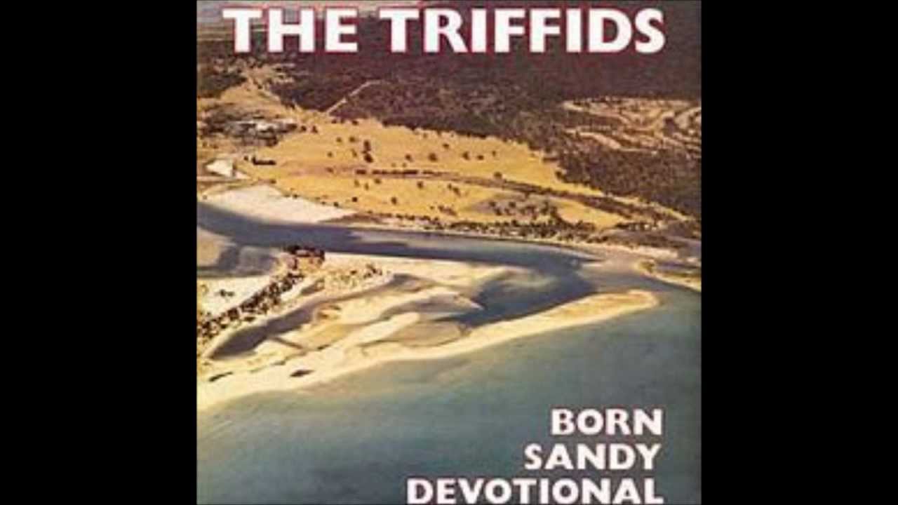the triffids - stolen property