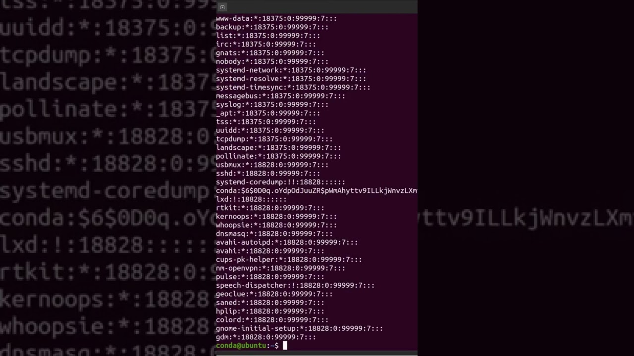 Linux Tips Amazing Linux Professional
