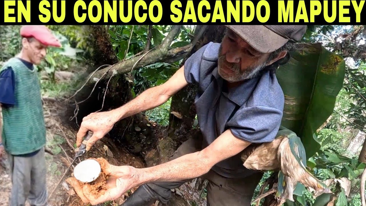 DON NEGRO y su FOGÓN  cocinando en FAMILIA, El PAPO sacando MAPUEL en su CUNUCO.