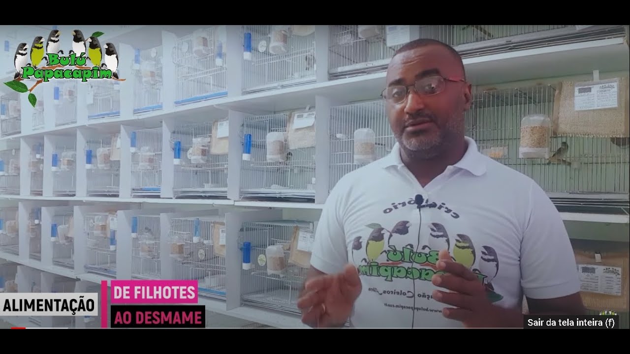 ALIMENTAÇÃO PARA FILHOTES DE COLEIROS