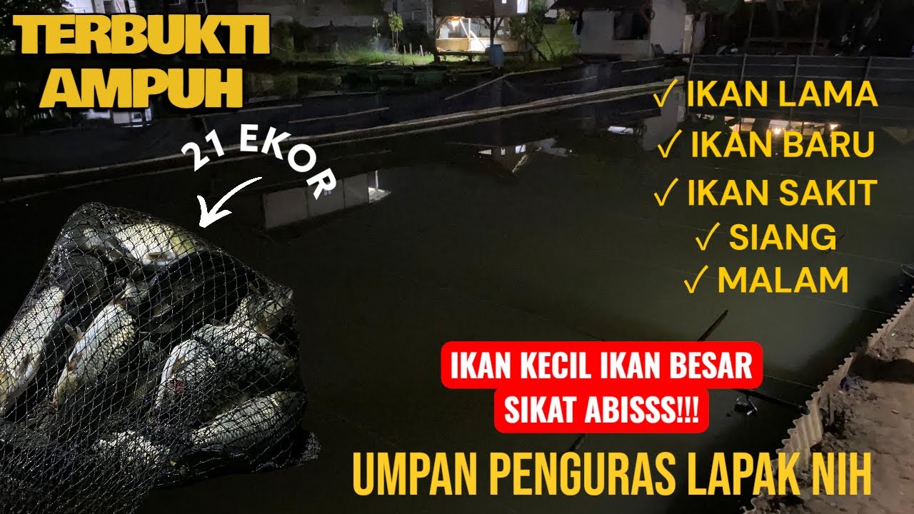 IKAN ABISSSS!!! | RACIKAN UMPAN PUTIH YANG TERBUKTI AMPUH NGABISIN IKAN JATAH ORANG