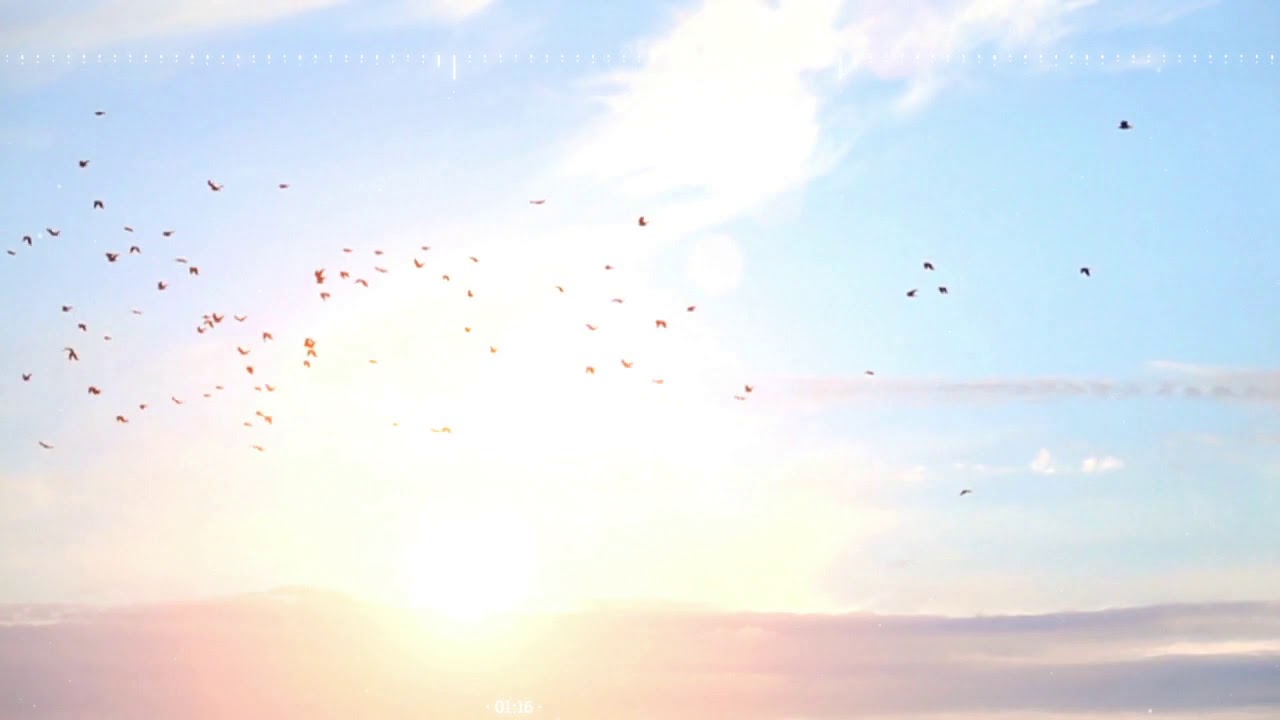 Piano Music & Birds Flying in Blue Sky