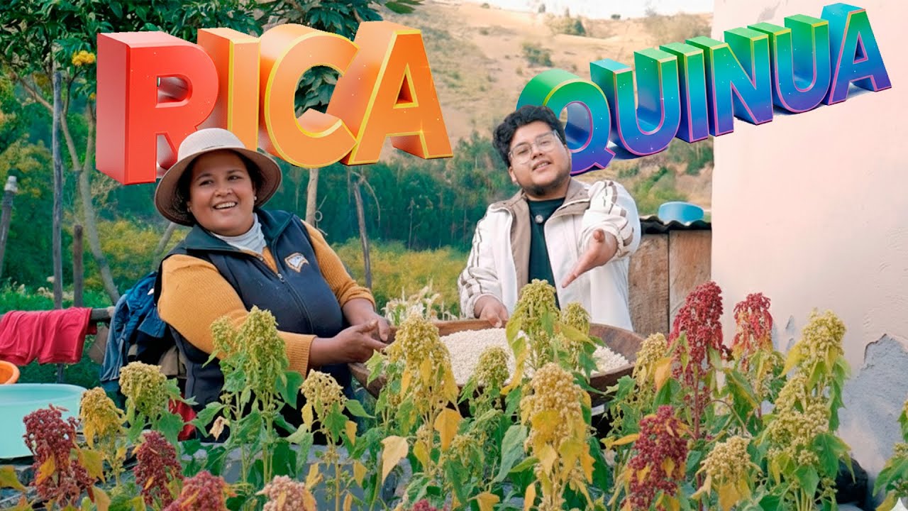 ASÍ SE LAVA LA QUINUA | Ariel Chagmana