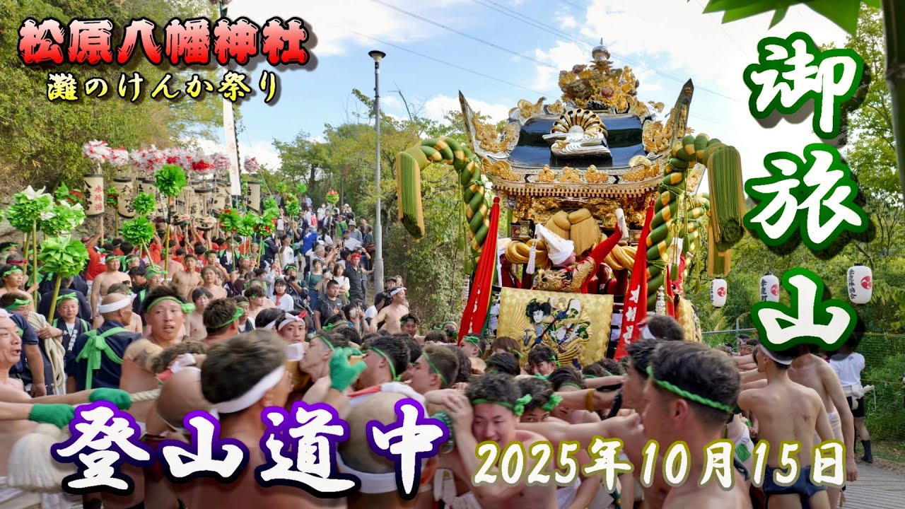 【4K】播州の秋祭り 灘のけんか祭り 松原八幡神社 御旅山 登山道中 本宮 2025年10月15日