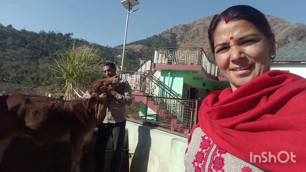 नंदिनी का जन्मदिन किसको पता था सही🙏🏻ऐसे लोगों को मैं क्या कहूं #phadi life style balog#hp Tulsi devi